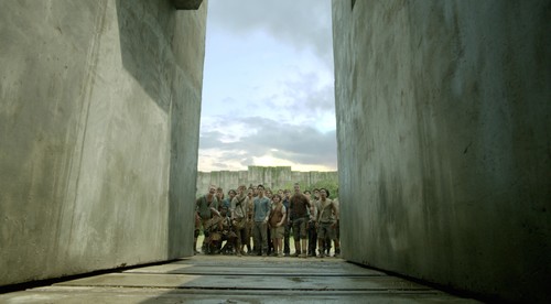 Thomas Brodie-Sangster, Will Poulter, Dylan O'Brien, and Blake Cooper in The Maze Runner (2014)
