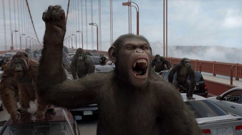 Karin Konoval, Richard Ridings, Andy Serkis, Terry Notary, and Christopher Gordon in Rise of the Planet of the Apes (201