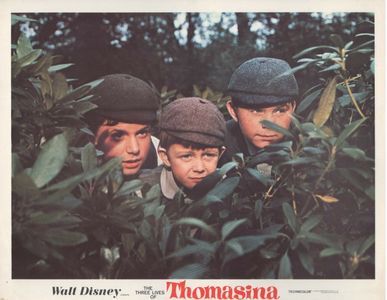 Matthew Garber, Denis Gilmore, and Vincent Winter in The Three Lives of Thomasina (1963)