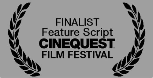 Top-Ten Screenplay Finalist, Cinequest 2021, BIRD'S EYE
