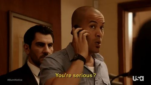 Coby Bell and Anthony Belevtsov in Burn Notice (2007)