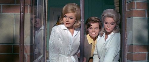 Sandra Dee, Jenny Maxwell, and Cynthia Pepper in Take Her, She's Mine (1963)