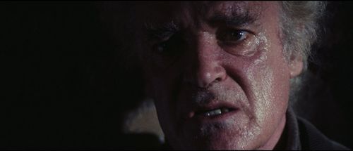 Patrick Magee in The Black Cat (1981)