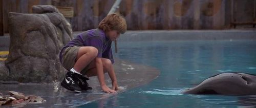 Jason James Richter and Keiko in Free Willy (1993)