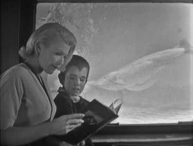 Butch Patrick and Pat Priest in Marineland Carnival: The Munsters Visit Marineland (1965)