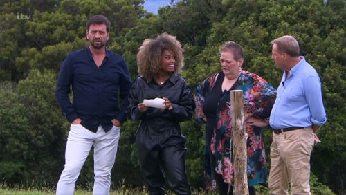 Nick Knowles, Harry Redknapp, Fleur East, and Anne Hegerty in I'm a Celebrity, Get Me Out of Here! (2002)