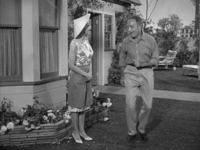 Jan Arvan and Pamela Britton in My Favorite Martian (1963)