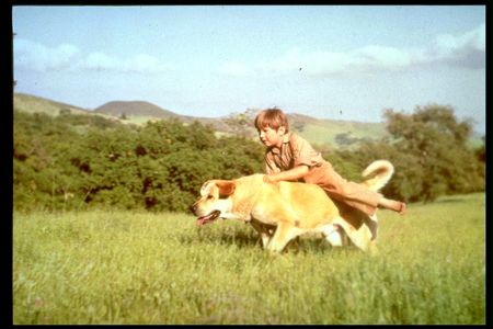 Kevin Corcoran and Spike in Old Yeller (1957)