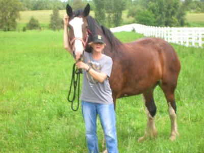 Me and Lynn - one of my sister's Clydesdales.