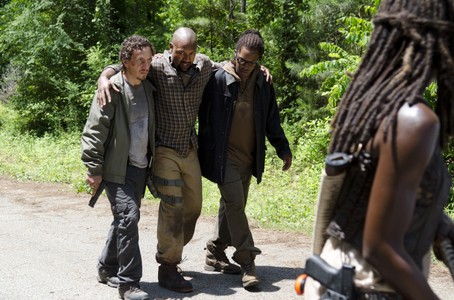 Michael Traynor, Danai Gurira, Kenric Green, and Corey Hawkins in The Walking Dead (2010)