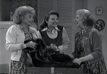 Charlotte Booker, Audrey Meadows, and Joyce Randolph in Hi Honey, I'm Home (1991)