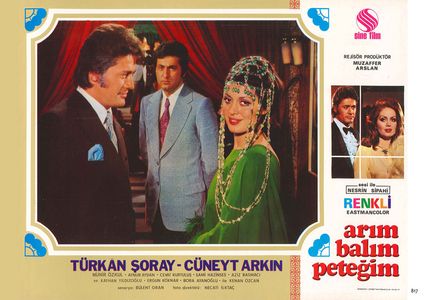 Cüneyt Arkin, Bora Ayanoglu, and Türkan Soray in Arim Balim Petegim (1970)