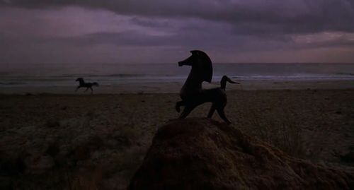 Cass-Olé in The Black Stallion (1979)
