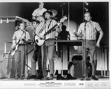 Al Jardine, Brian Wilson, Carl Wilson, Dennis Wilson, and The Beach Boys