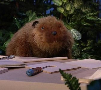 Peter Linz in Bear in the Big Blue House (1997)
