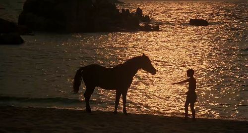 Kelly Reno and Cass-Olé in The Black Stallion (1979)