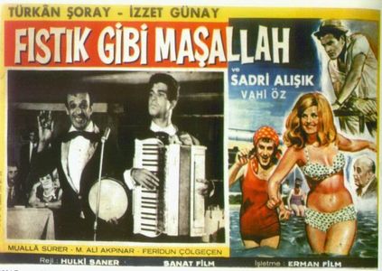 Sadri Alisik, Izzet Günay, Vahi Öz, and Türkan Soray in Fistik gibi masallah (1964)
