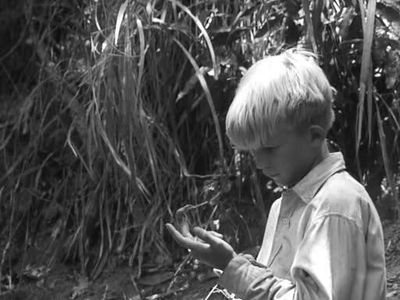 Tom Gaman in Lord of the Flies (1963)