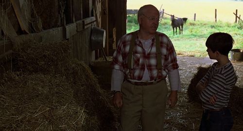 Mickey Rooney and Kelly Reno in The Black Stallion (1979)