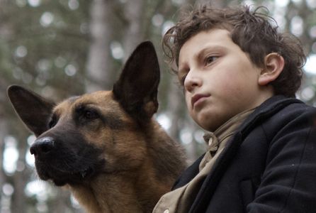 Still of August Maturo in Shepherd: The Story of a Jewish Dog