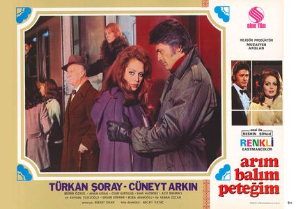Cüneyt Arkin and Türkan Soray in Arim Balim Petegim (1970)