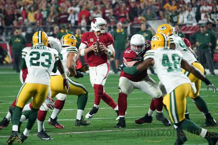 Carson Palmer in All or Nothing: A Season with the Arizona Cardinals (2016)