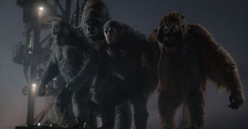 Karin Konoval, Terry Notary, Nick Thurston, and Scott Lang in Dawn of the Planet of the Apes (2014)