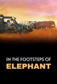 In the Footsteps of Elephant