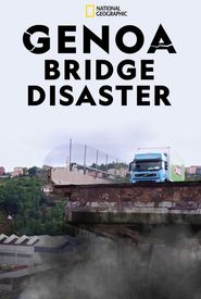 Why Bridges Collapse