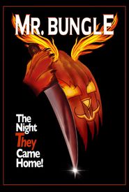 Mr. Bungle: The Night They Came Home