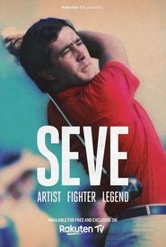 SEVE Artist Fighter Legend