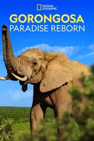 Gorongosa: Paradise Reborn