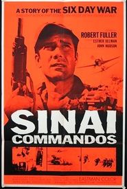 Sinai Commandos: The Story of the Six Day War