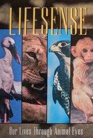 Lifesense: Our Lives Through Animal Eyes