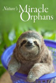 Nature's Miracle Orphans