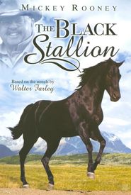 The Adventures of Black Stallion