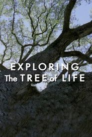 Exploring 'the Tree of Life'