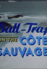 Ball-Trap on the Cote Sauvage