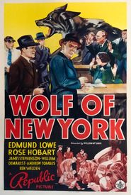Wolf of New York