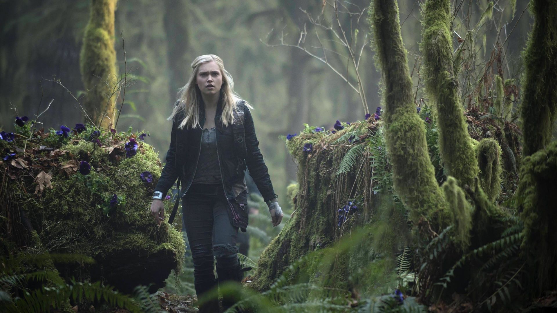 The 100 background
