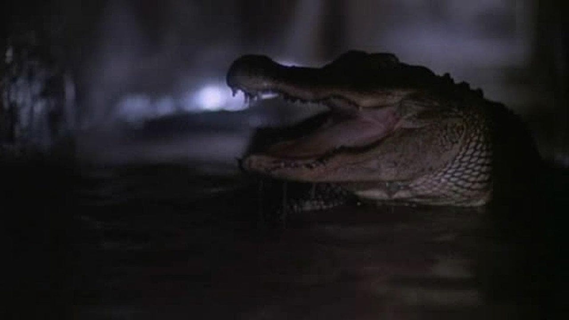 Alligator II: The Mutation background