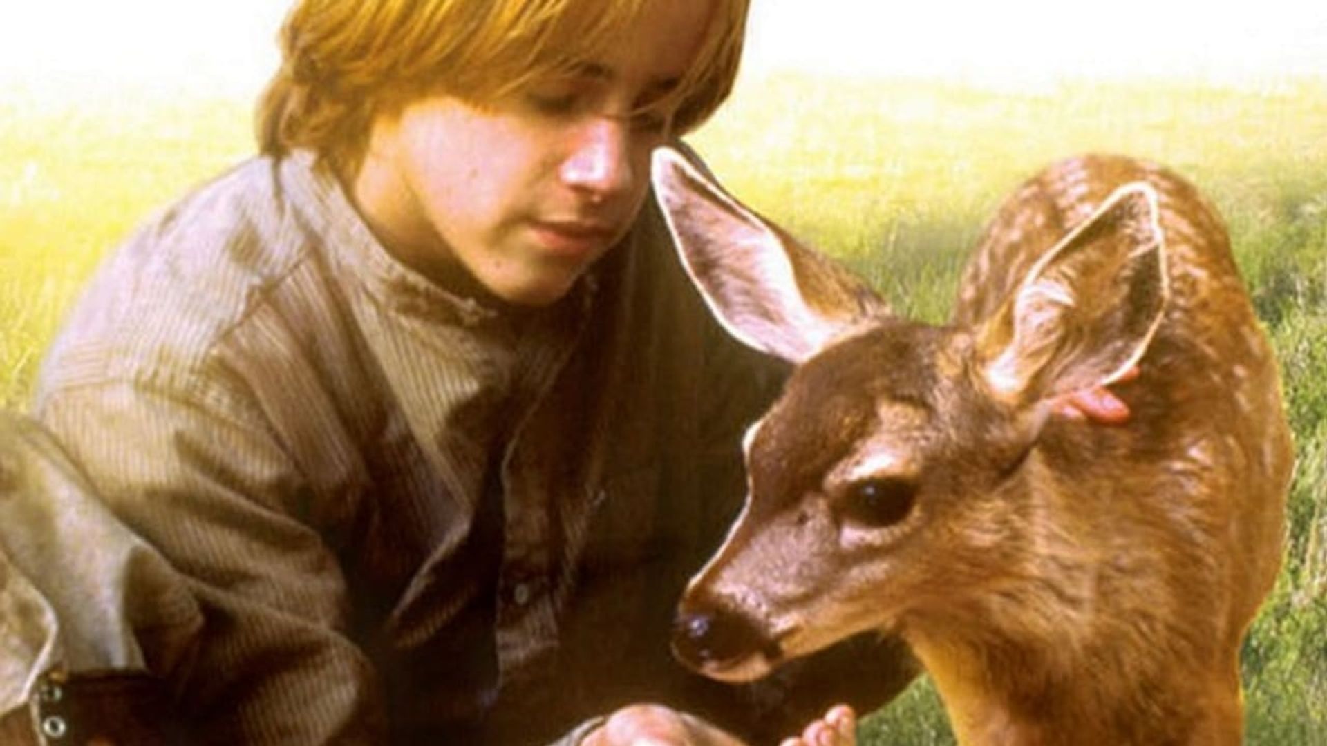 The Yearling background