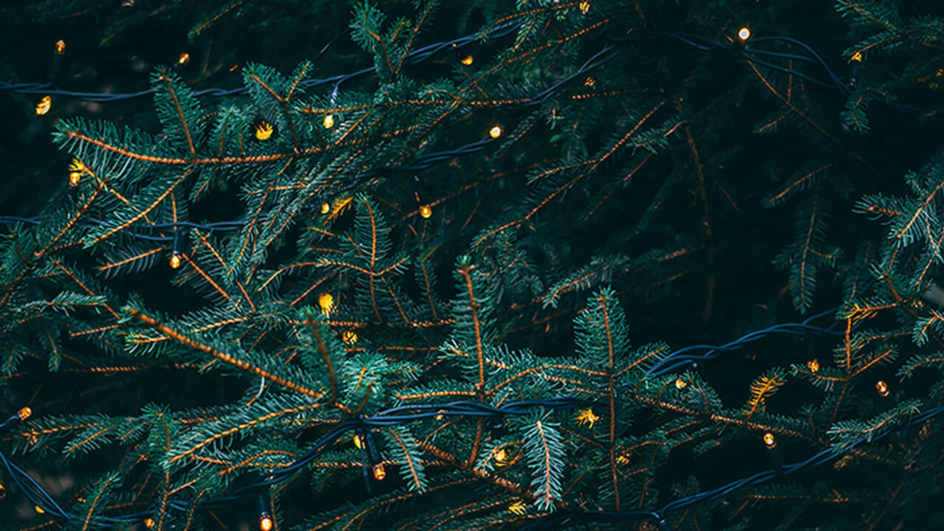 Christmas Lights background
