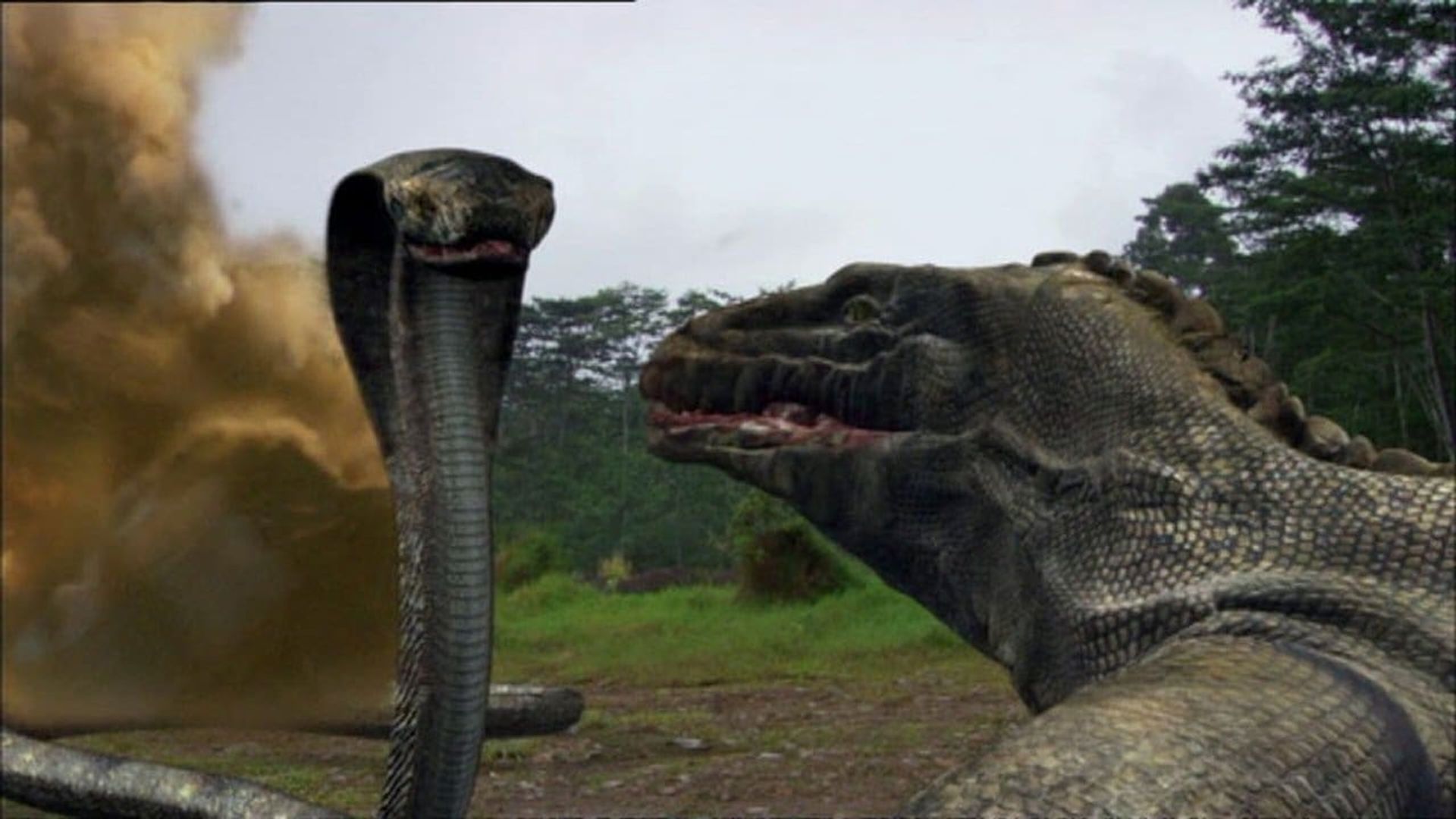 Komodo vs. Cobra background