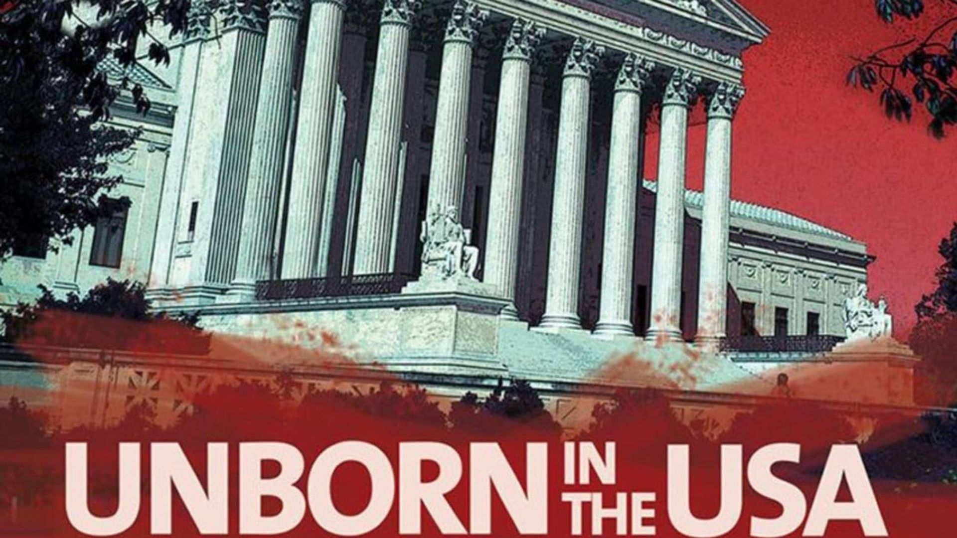 Unborn in the USA: Inside the War on Abortion background