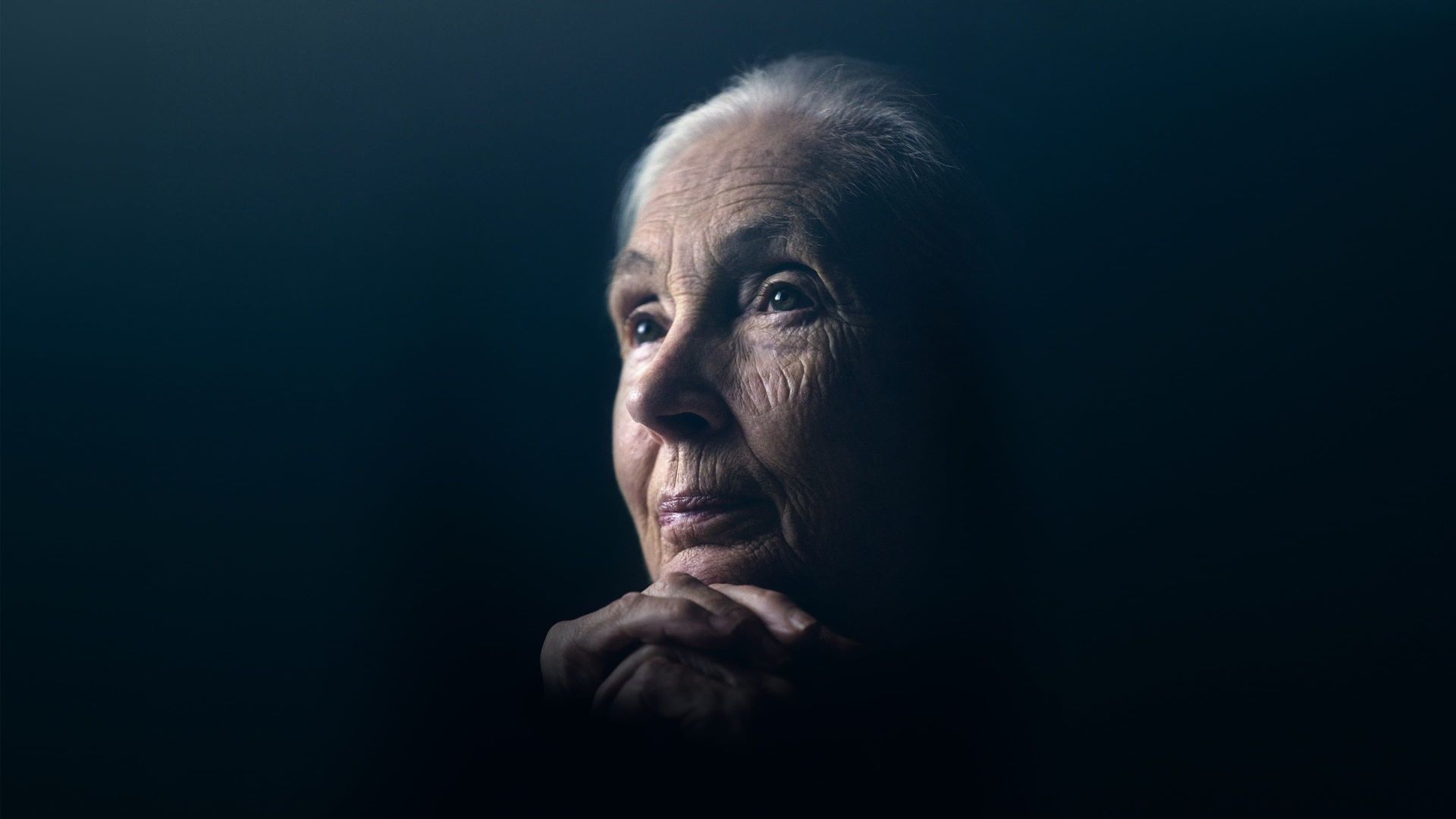Jane Goodall: The Hope background