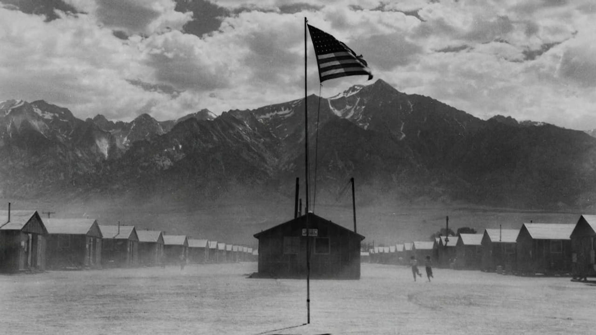 Betrayed: Surviving an American Concentration Camp background