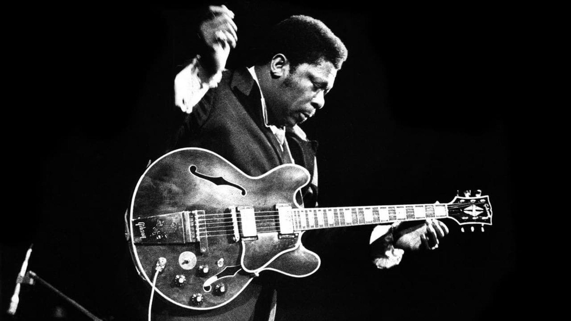 B.B. King: The Life of Riley background