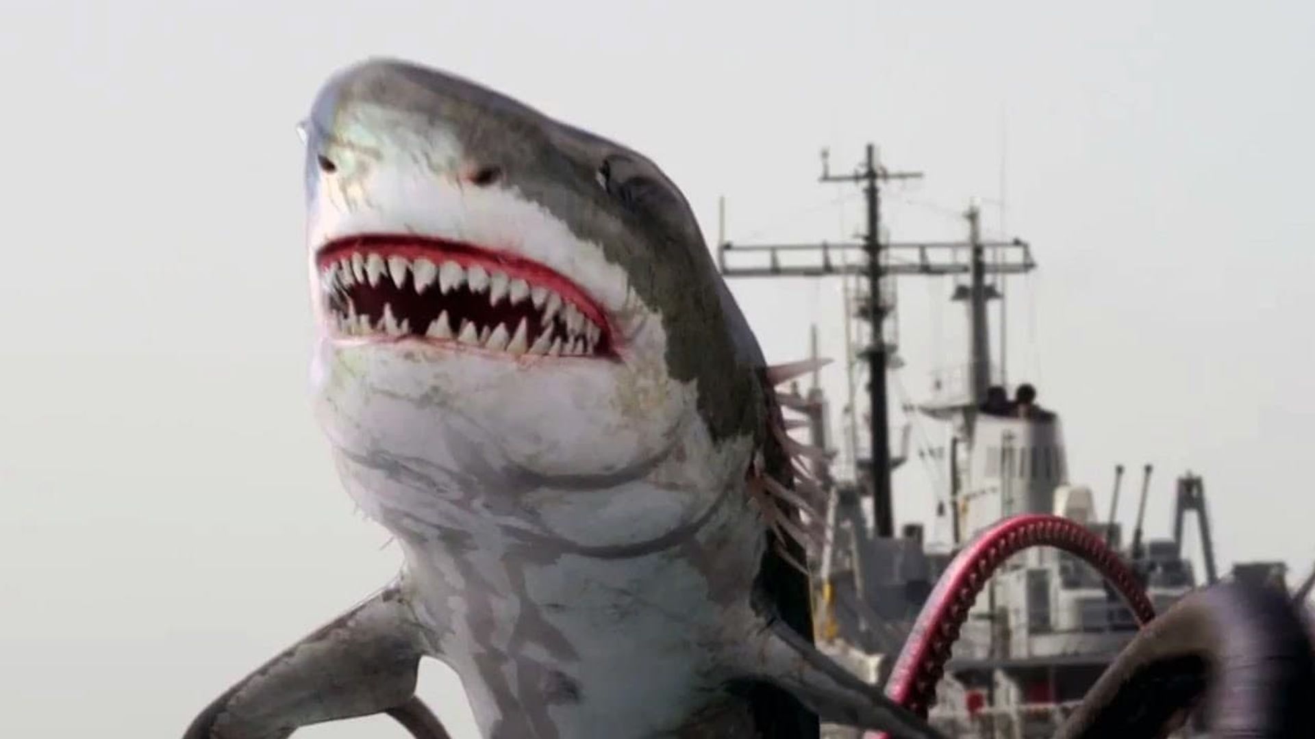 Sharktopus vs. Whalewolf background
