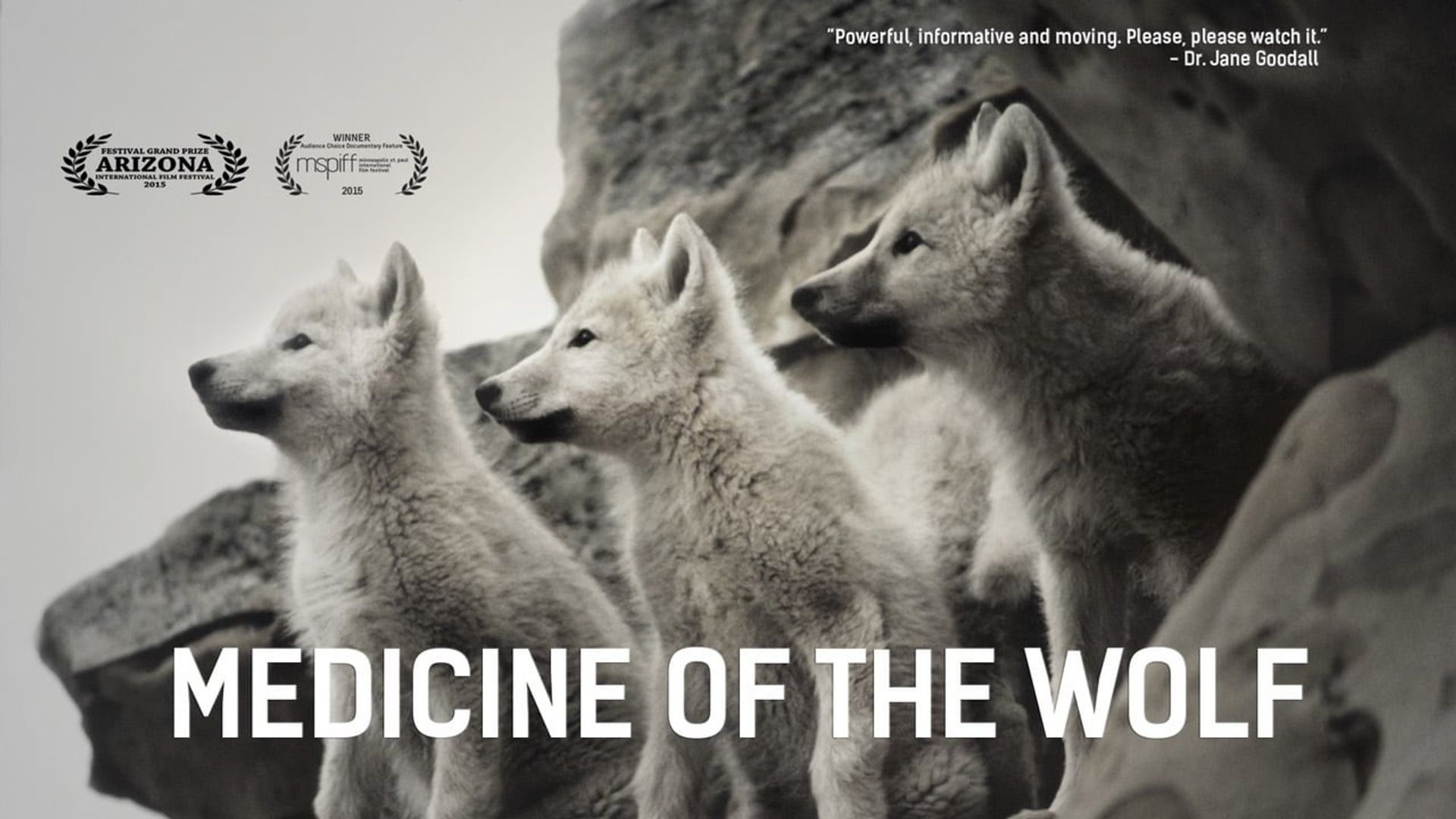 Medicine of the Wolf background
